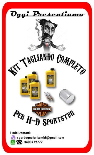 Kit tagliando completo per